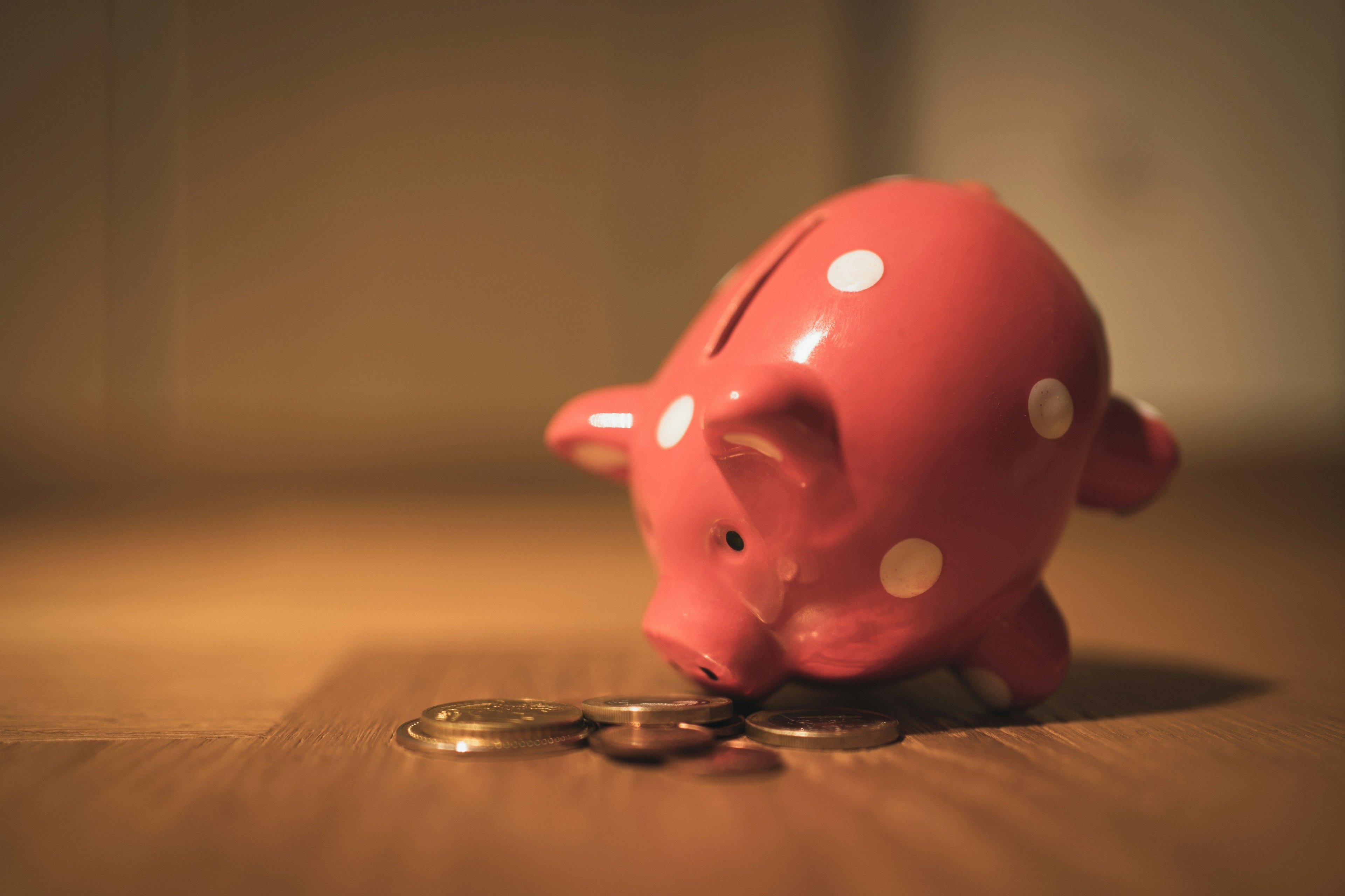 Ein Sparschwein und Münzen, Bild zum Thema Wirtschaft