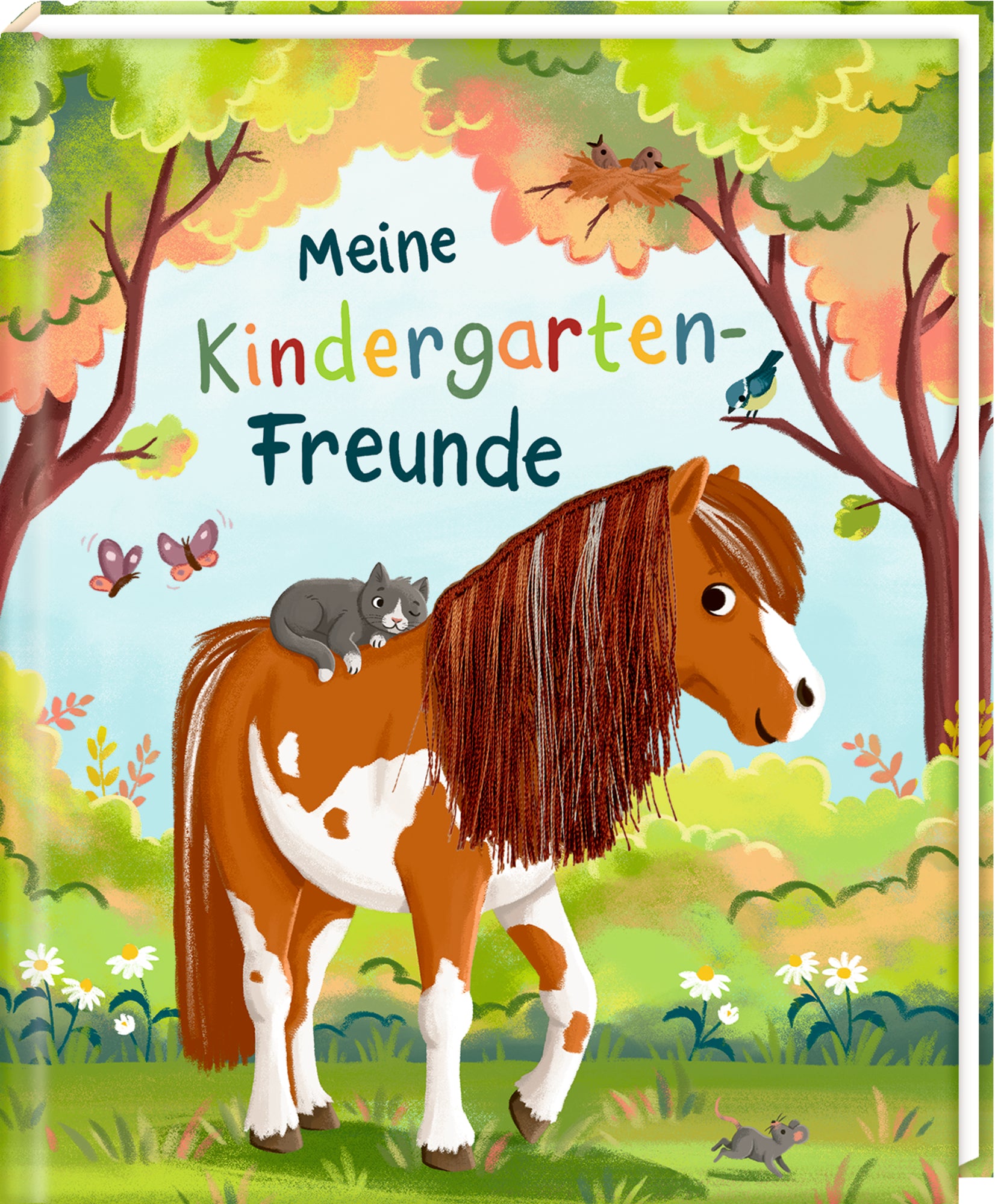 illustriert von Meike Teichmann: Freundebuch – Meine Kindergarten-Freunde
