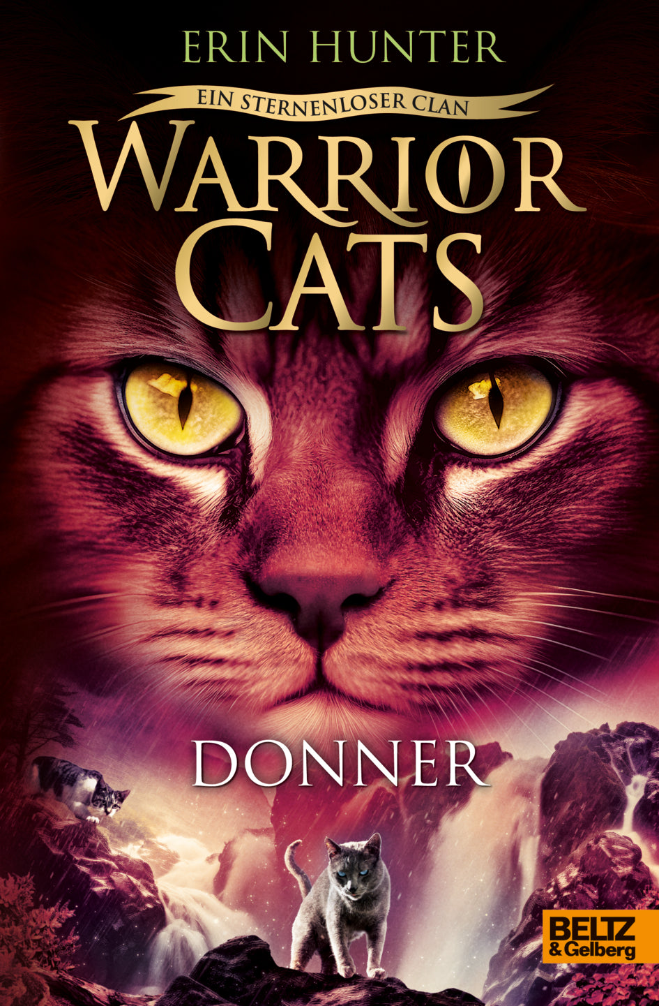 Hunter, Erin: Warrior Cats - Ein sternenloser Clan. Donner