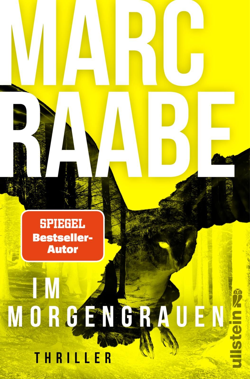 von Marc Raabe: Im Morgengrauen (Art Mayer-Serie 4) - Krimis & Thriller