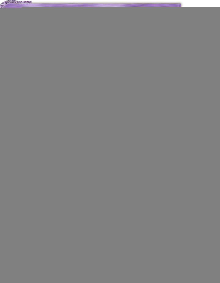 Tagebuch mit Schloss - Tagebuch -