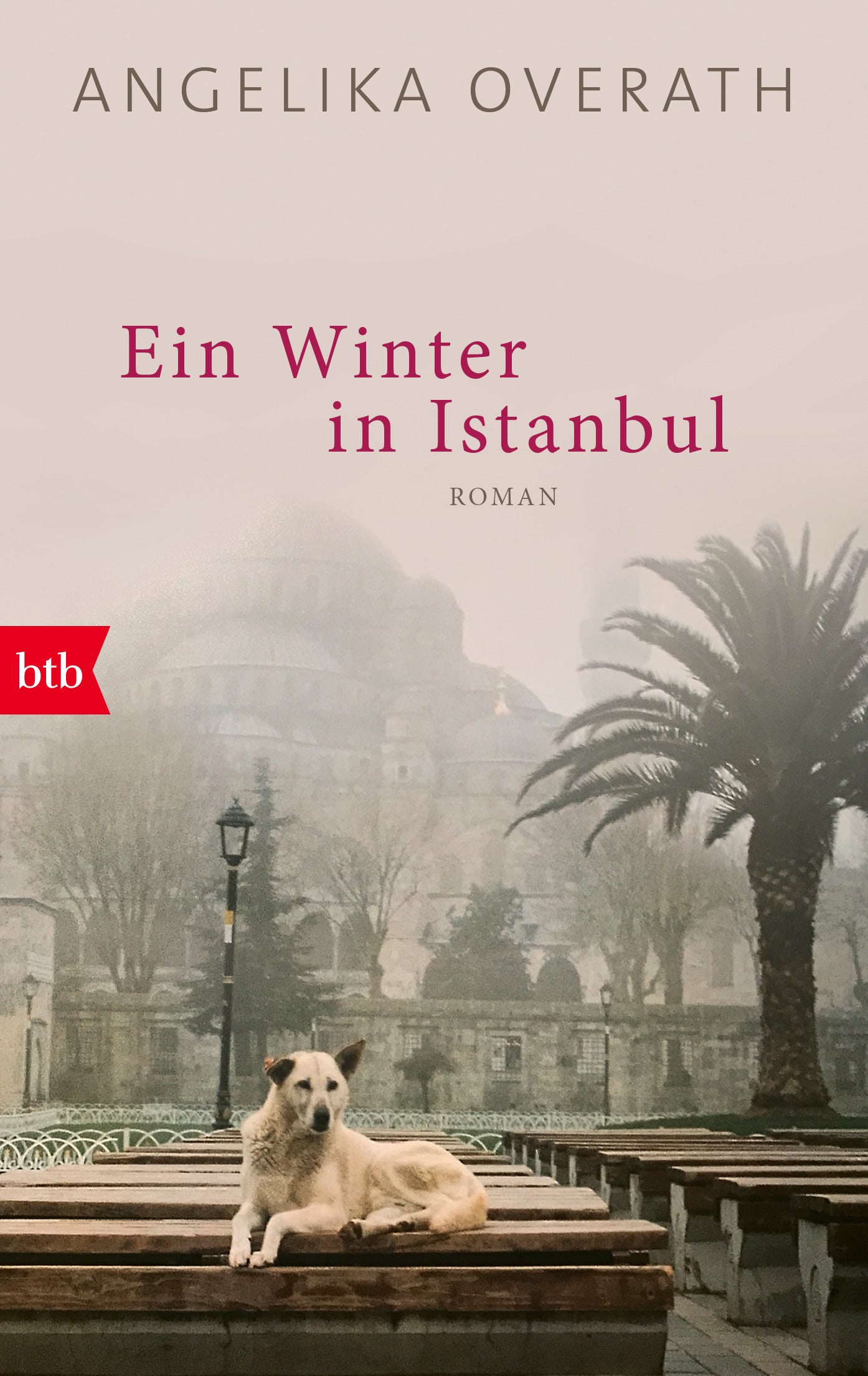 Overath, Angelika: Ein Winter in Istanbul