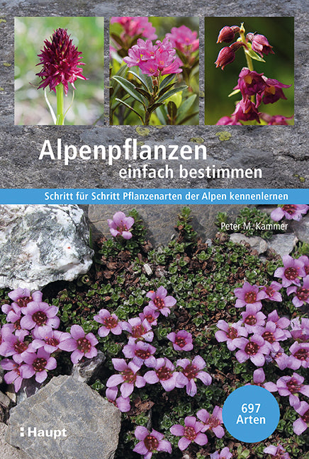 Kammer, Peter M.: Alpenpflanzen einfach bestimmenSchritt für Schritt Pflanzenarten der Alpen kennenlernen