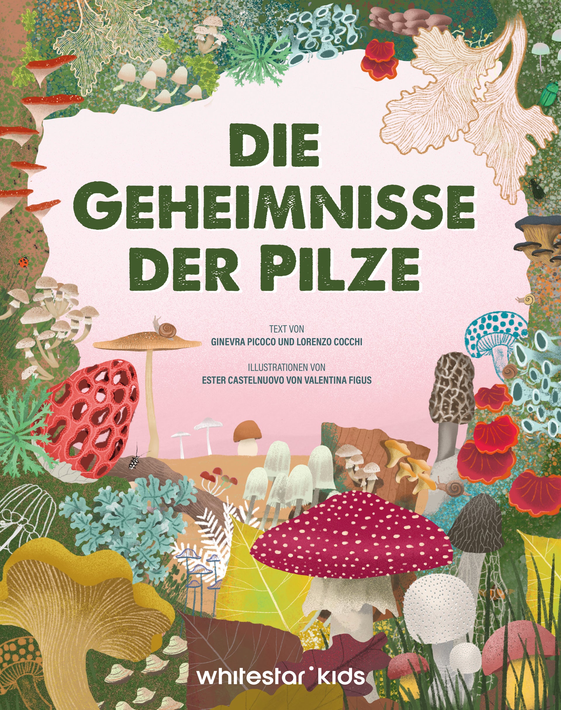 von Ginevra Picoco, Lorenzo Cocchi, illustriert von Ester Castelnuovo, Valentina Figus u.a.: Die Geheimnisse der Pilze -   Kinderbücher ab 8 Jahren
