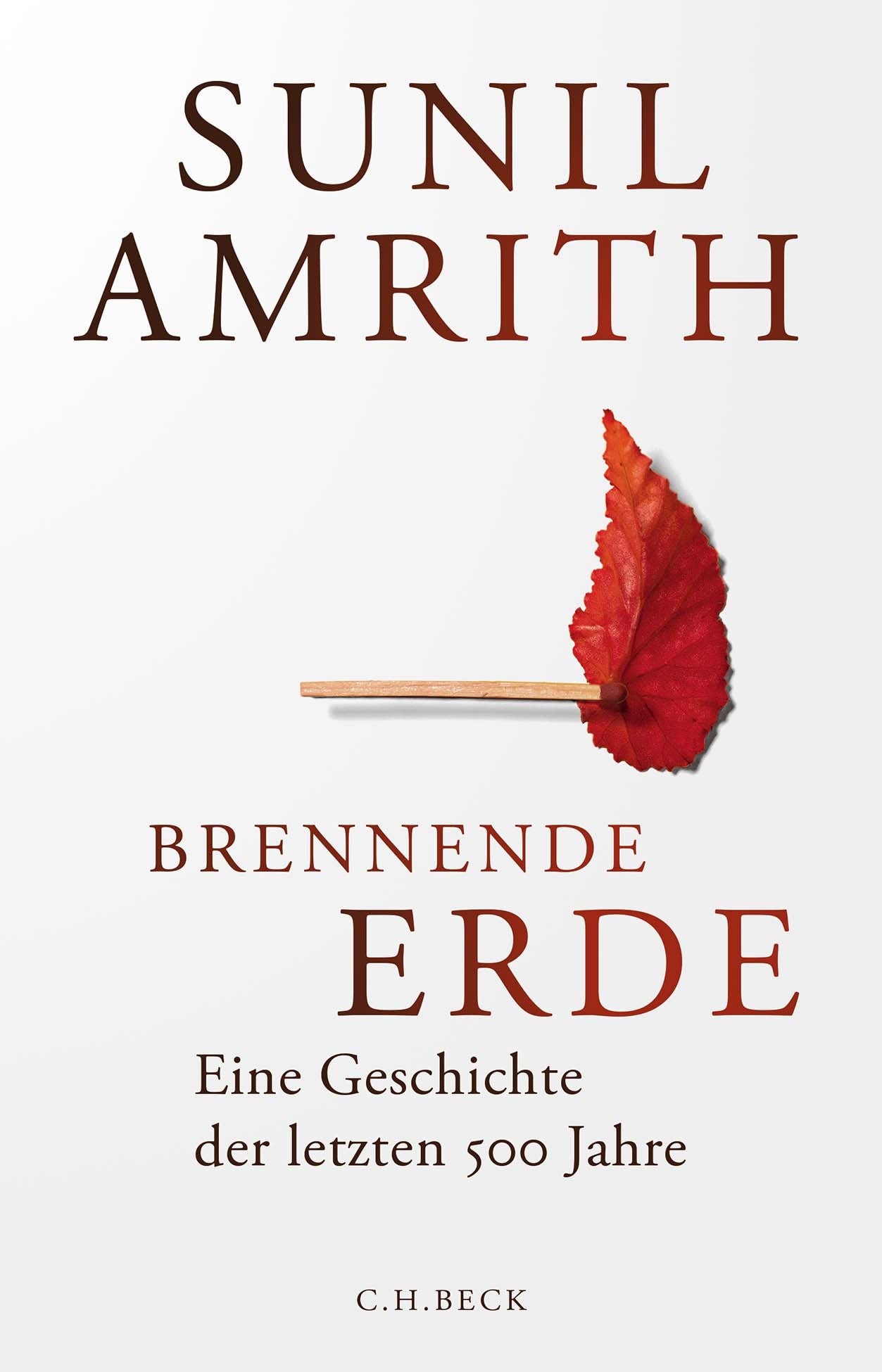 Amrith, Sunil: Brennende Erde