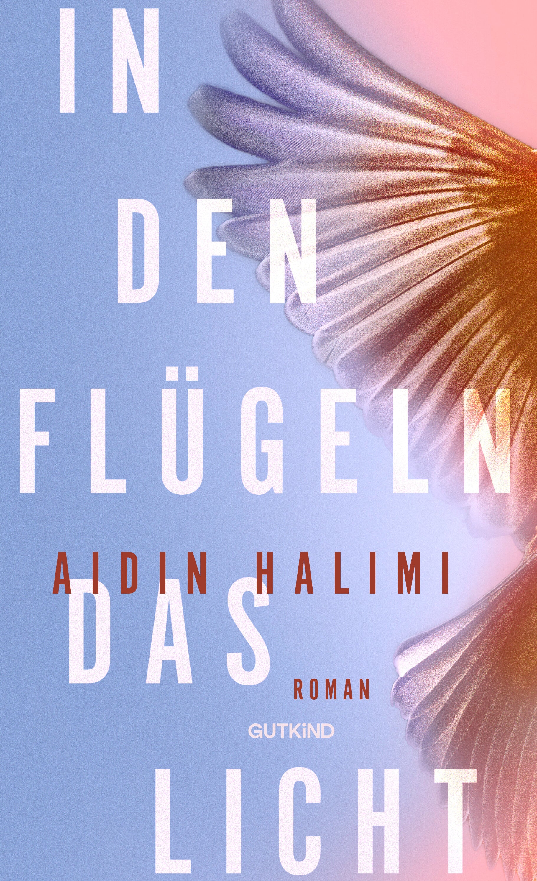von Aidin Halimi: In den Flügeln das Licht