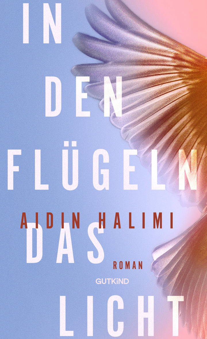 von Aidin Halimi: In den Flügeln das Licht
