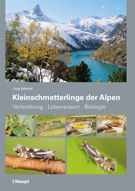 Schmid, Jürg: Kleinschmetterlinge der Alpen: Verbreitung, Lebensraum, Biologie