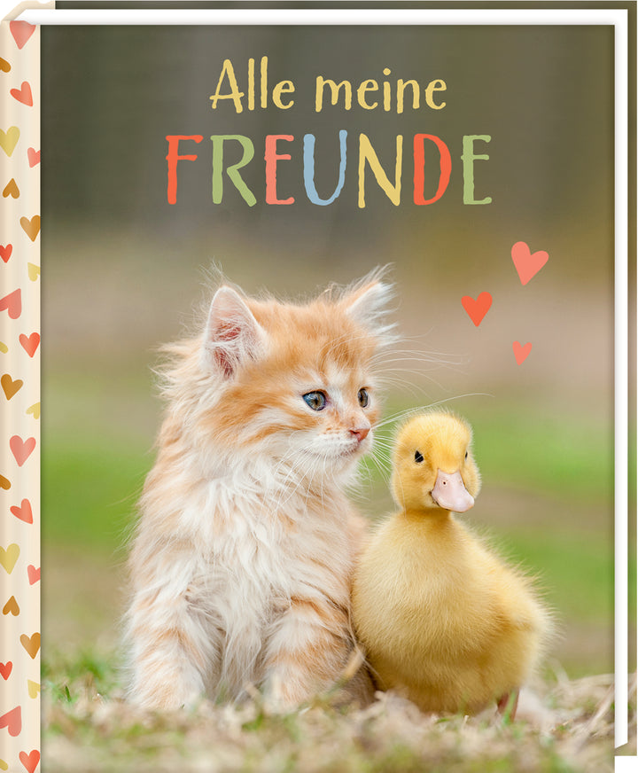 Freundebuch - Alle meine Freunde