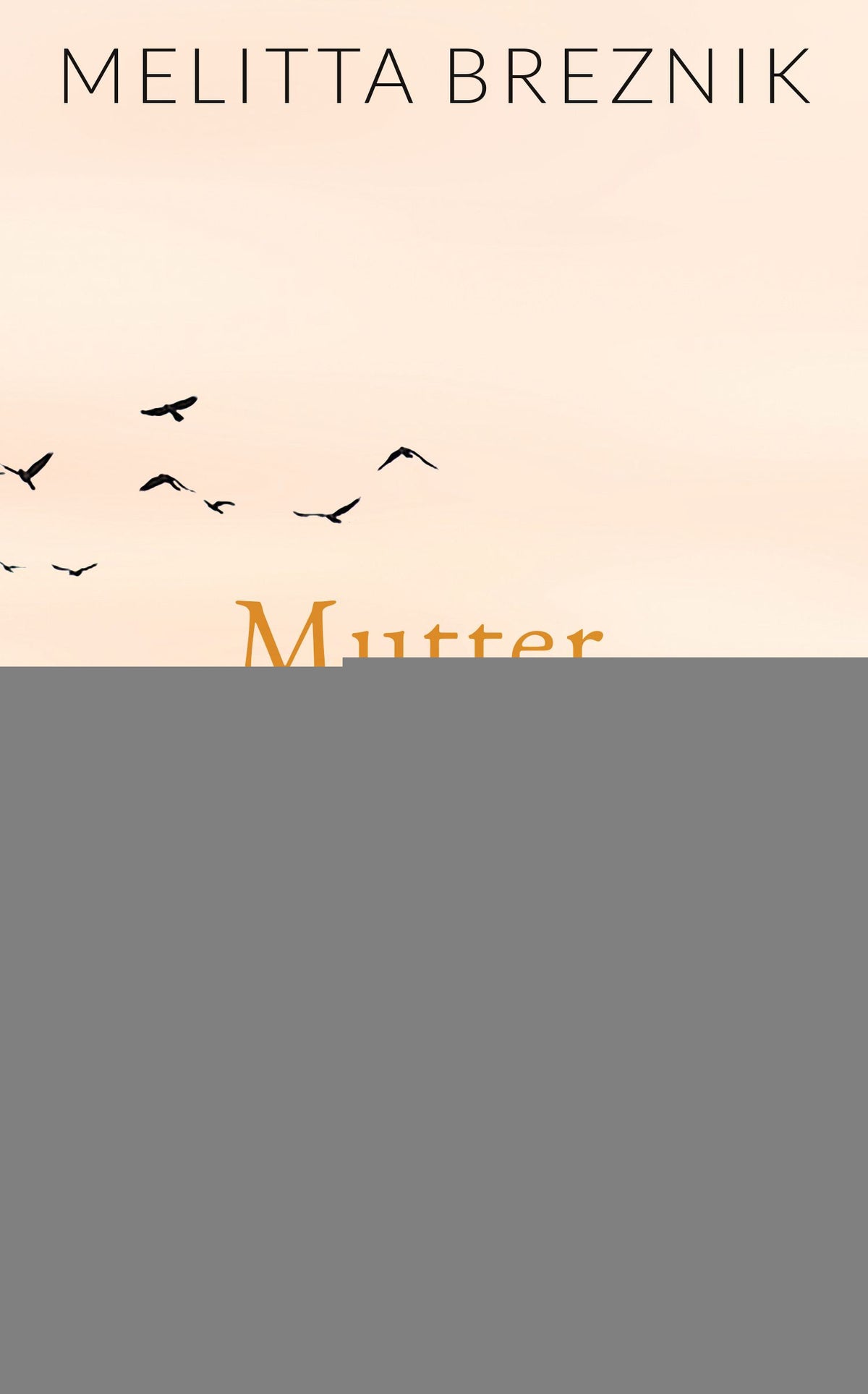 Breznik, Melitta: Mutter. Chronik eines Abschieds -Bündner Romane - Geschichten aus dem Bergland   