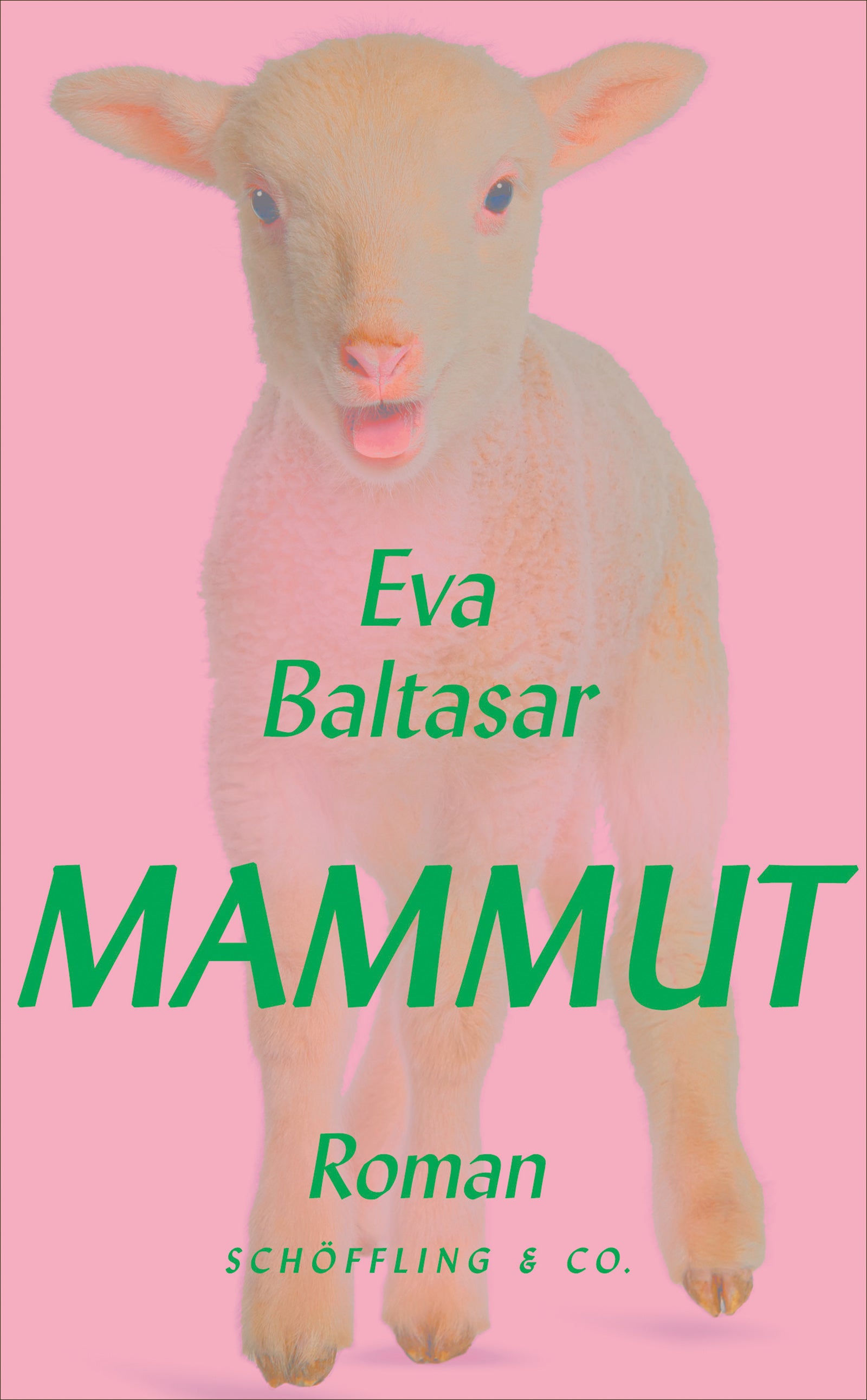 von Eva Baltasar, übersetzt von Petra Zickmann: Mammut