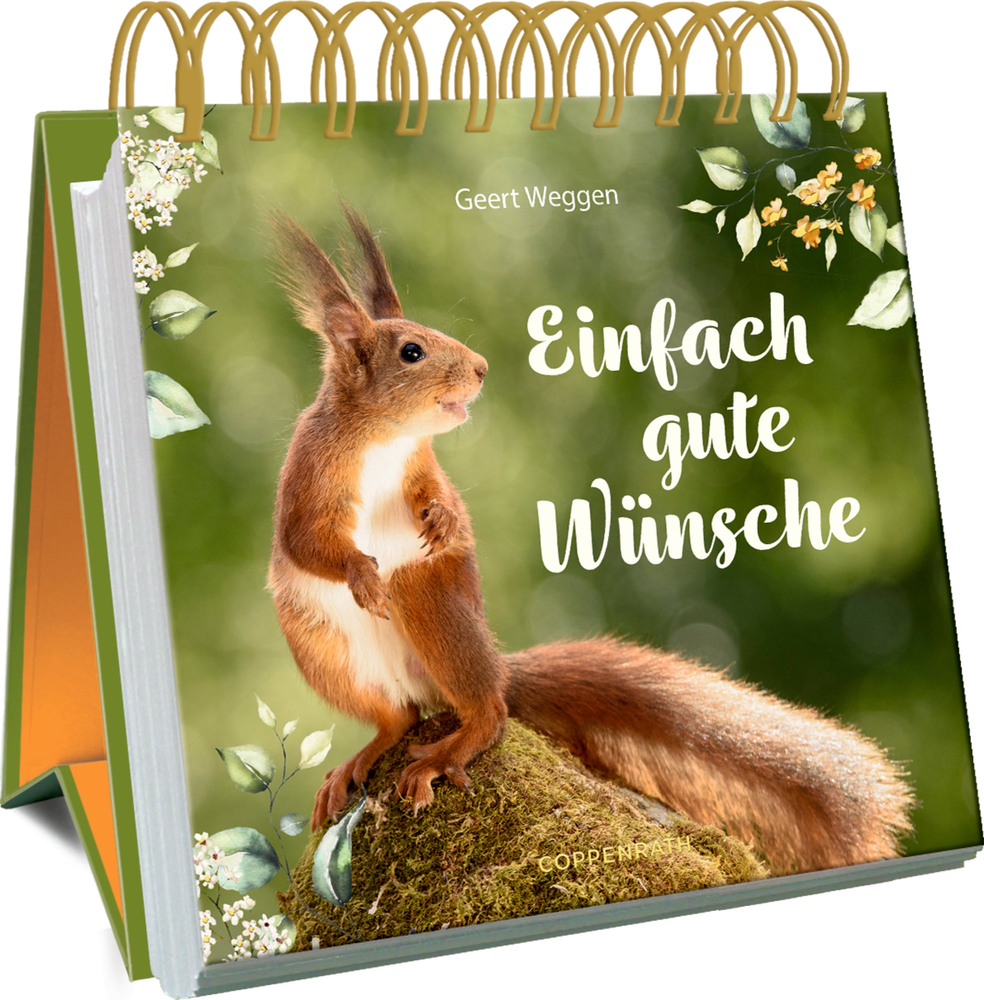 Fotos von Geert Weggen: Einfach gute Wünsche
