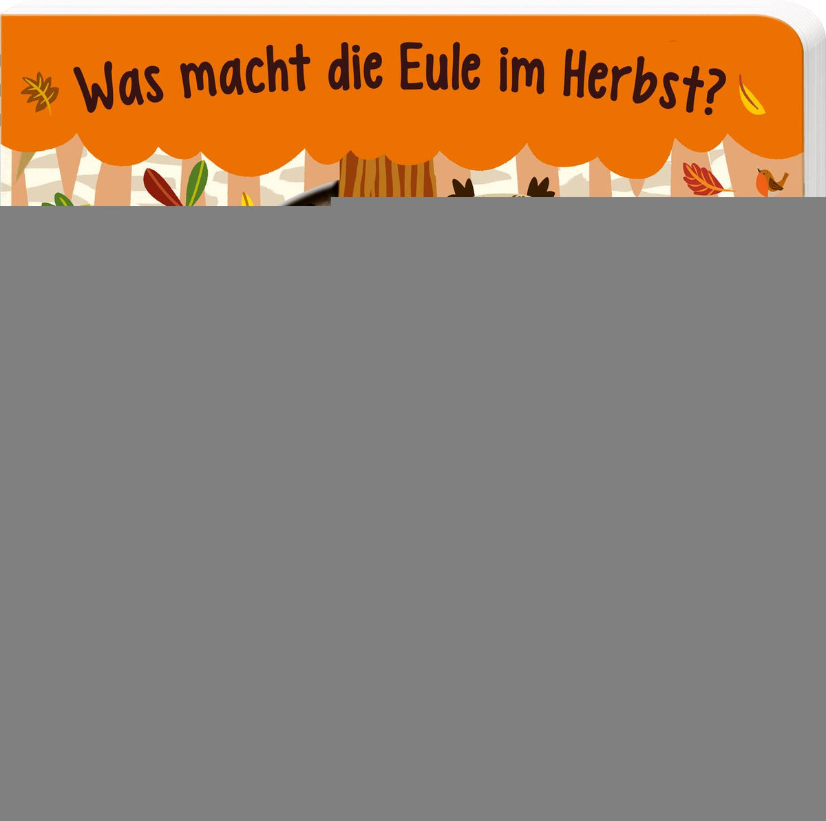 von Johnny Barr, illustriert von Marijke Buurlage: Was macht die Eule im Herbst? -   Pappbücher