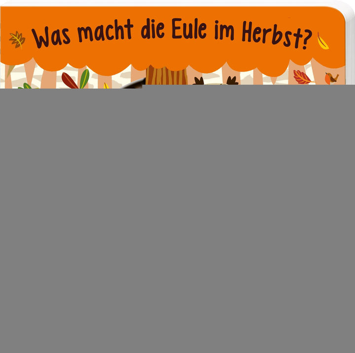 von Johnny Barr, illustriert von Marijke Buurlage: Was macht die Eule im Herbst? -   Pappbücher