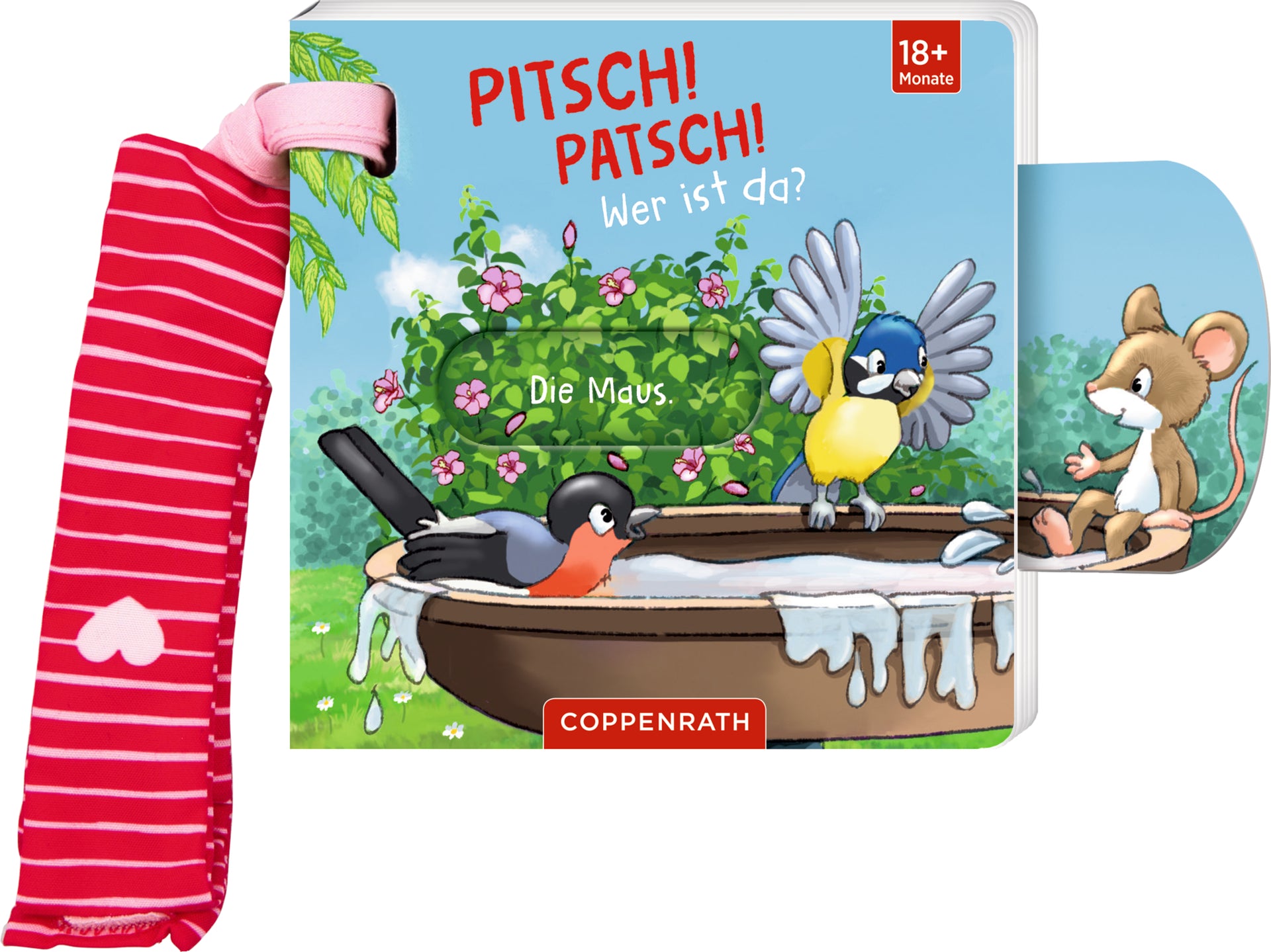 illustriert von Antje Flad: Mein Schieberbuch für den Buggy: Pitsch! Patsch! Wer ist da? -   Pappbücher
