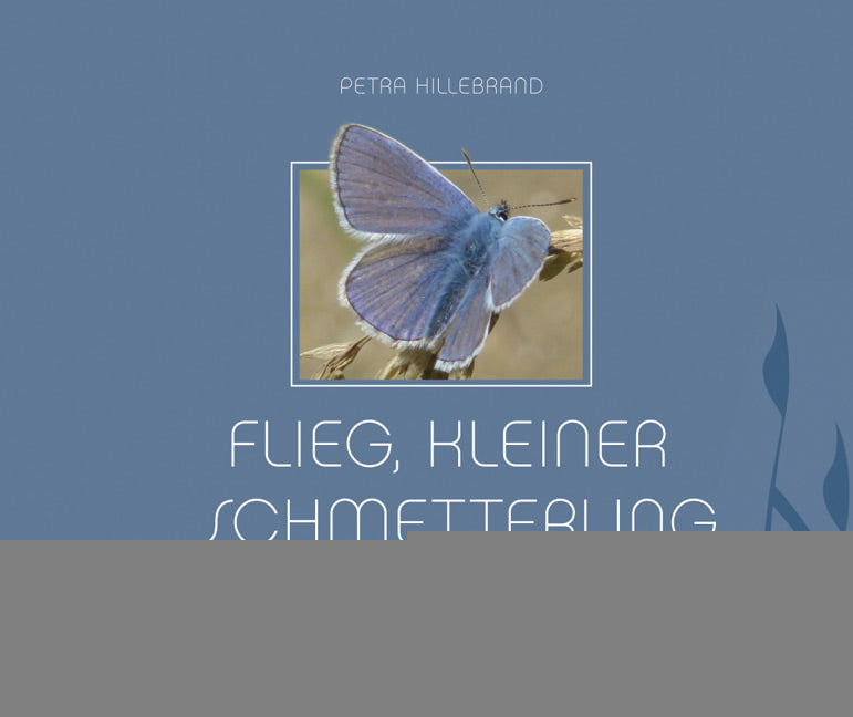 Hillebrand, Petra: Flieg, kleiner Schmetterling - Gedanken zur Trauer um ein Kind -