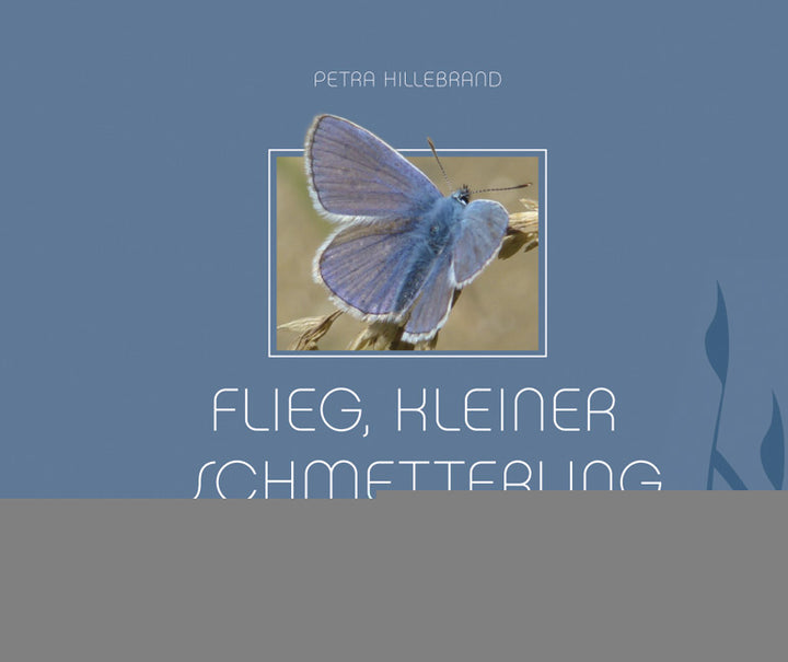Hillebrand, Petra: Flieg, kleiner Schmetterling - Gedanken zur Trauer um ein Kind -