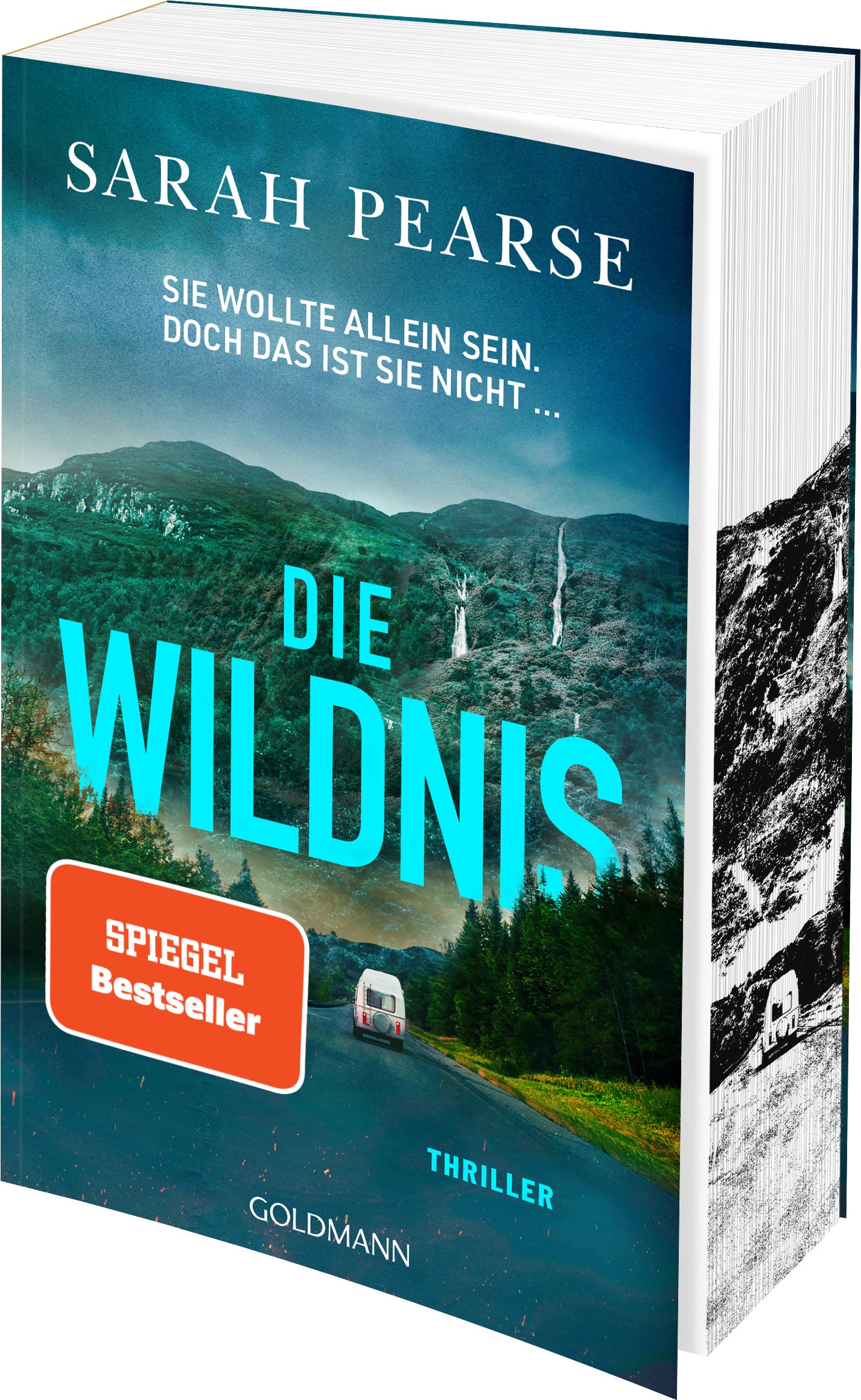 Pearse, Sarah: Die Wildnis