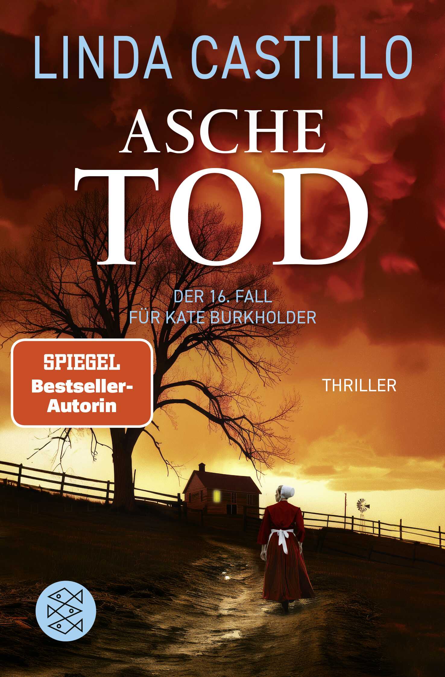 Castillo, Linda: Aschetod
