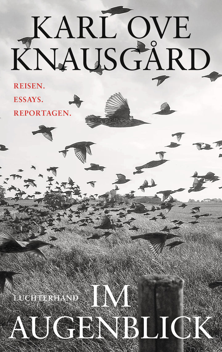 von Karl Ove Knausgård, übersetzt von Paul Berf: Im Augenblick