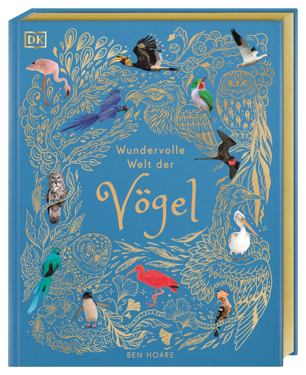 von Ben Hoare, illustriert von Angela Rizza, Daniel Long, übersetzt von Eva Sixt u.a.: Wundervolle Welt der Vögel