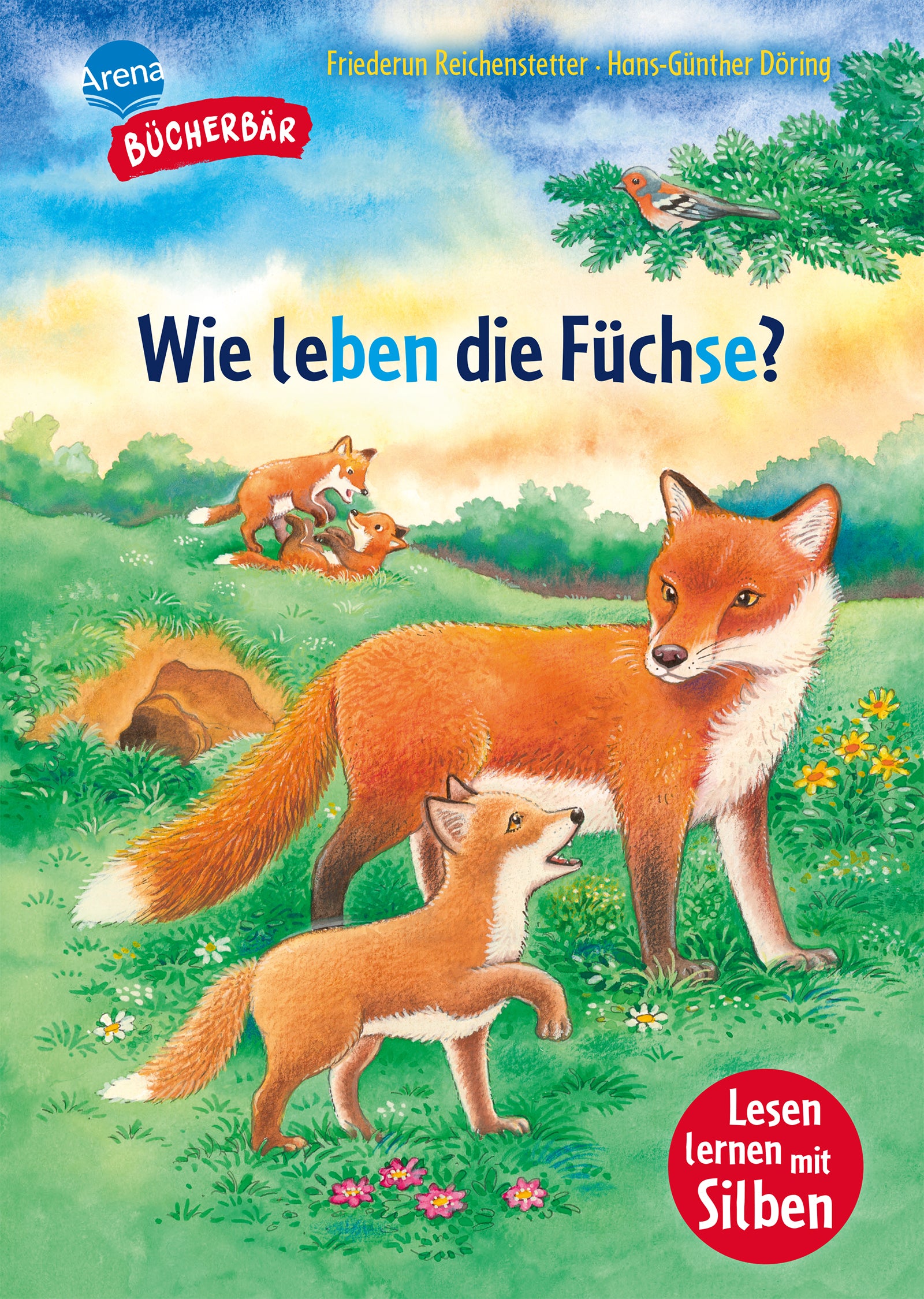 Friederun Reichenstetter, Hans-Günther Döring: Sachwissen für Erstleser. Wie leben die Füchse?