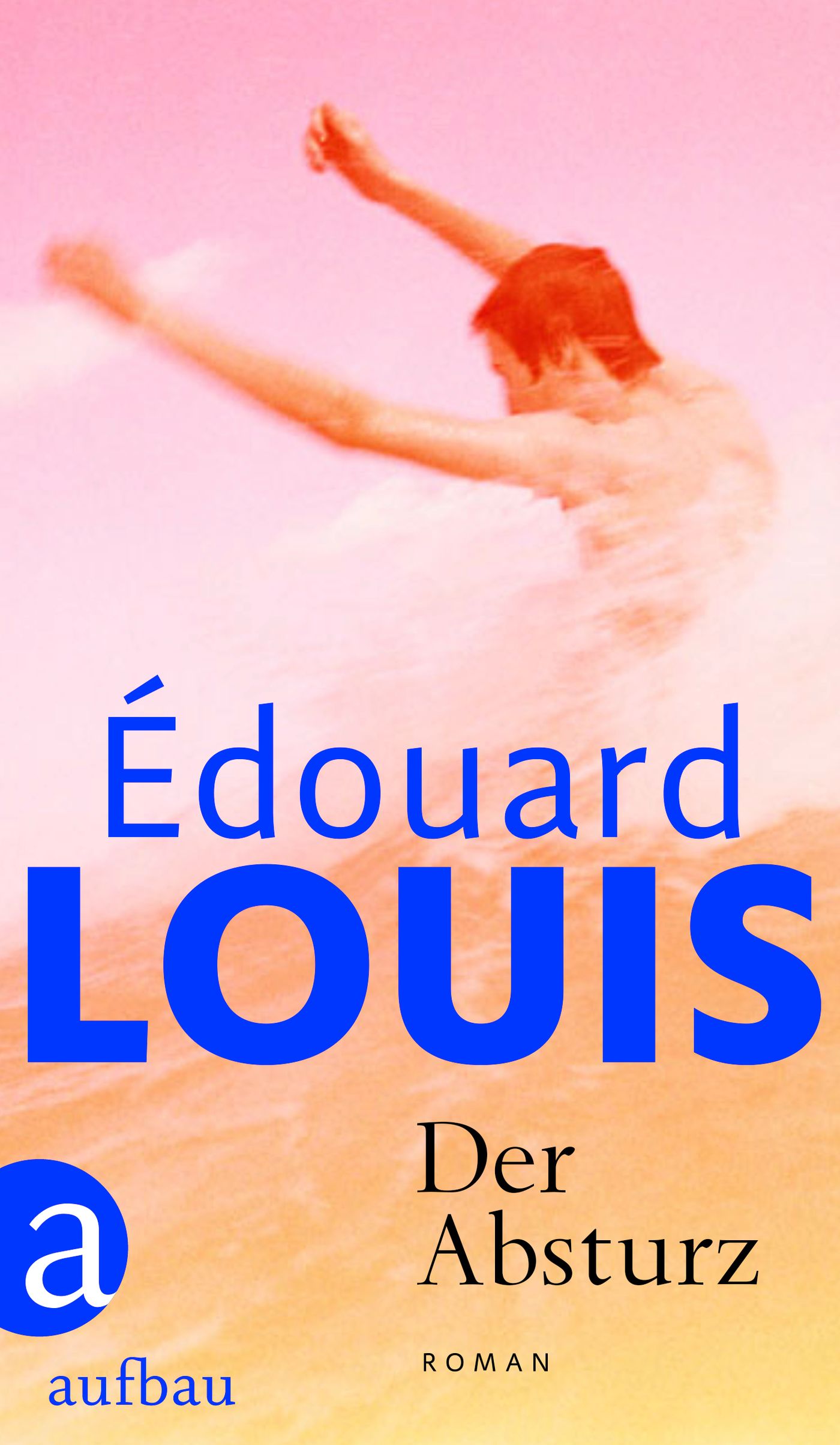 von Édouard Louis, übersetzt von Sonja Finck: Der Absturz