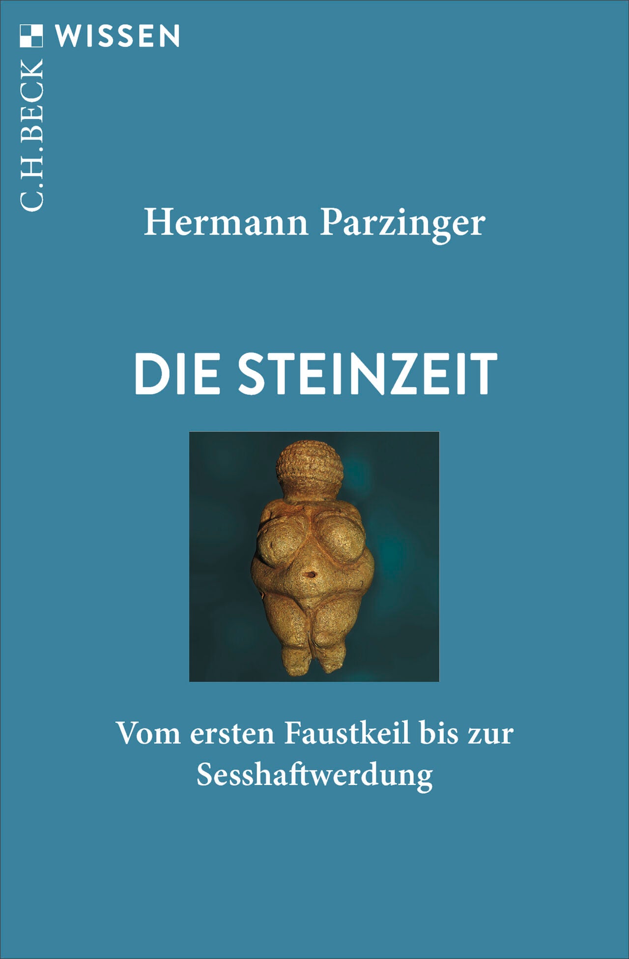 von Hermann Parzinger: Die Steinzeit