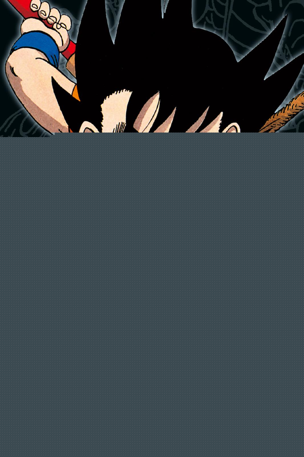 Toriyama, Akira: Dragon Ball Massiv 1 -   Comics & Manga