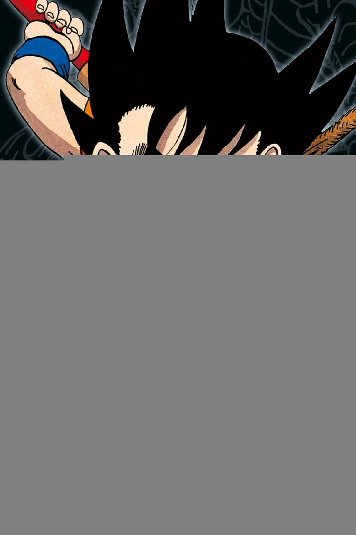Toriyama, Akira: Dragon Ball Massiv 1 -   Comics & Manga