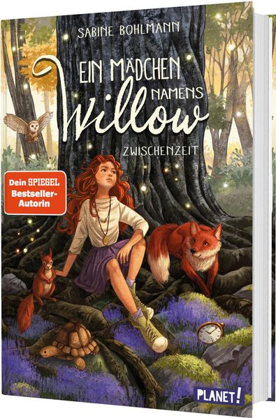 von Sabine Bohlmann, illustriert von Simona Ceccarelli: Ein Mädchen namens Willow 6: Band 6 -   Kinderbücher ab 10 Jahren