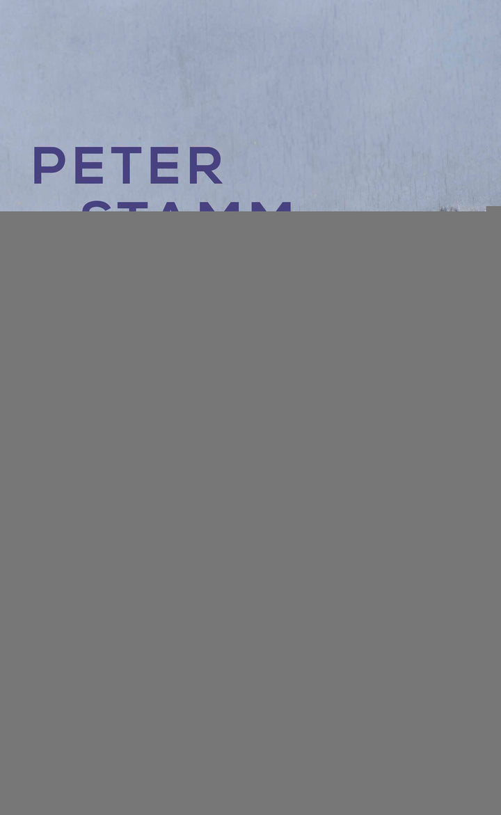 von Peter Stamm: Auf ganz dünnem Eis - Schweizer Literatur  