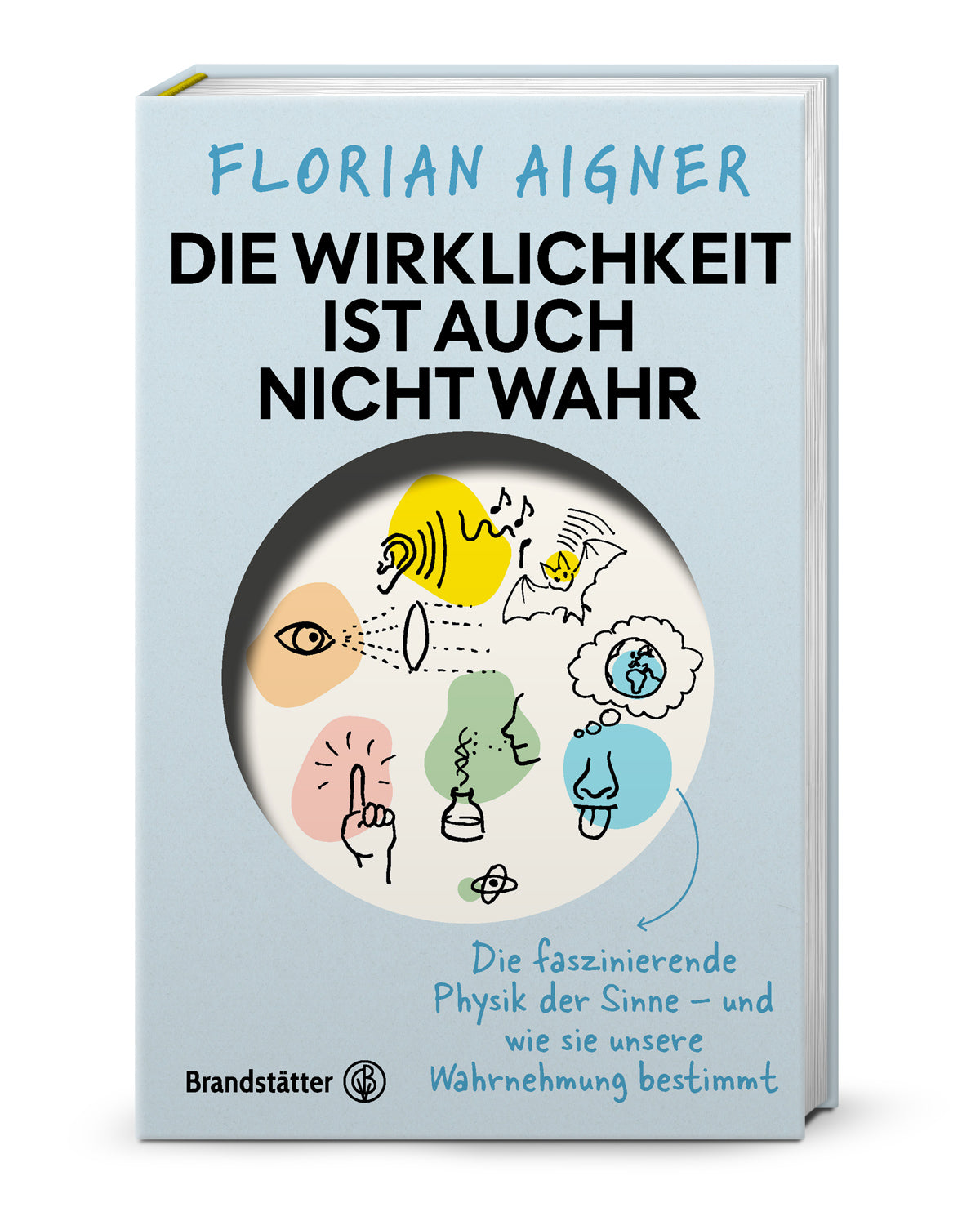 von Florian Aigner: Die Wirklichkeit ist auch nicht wahr