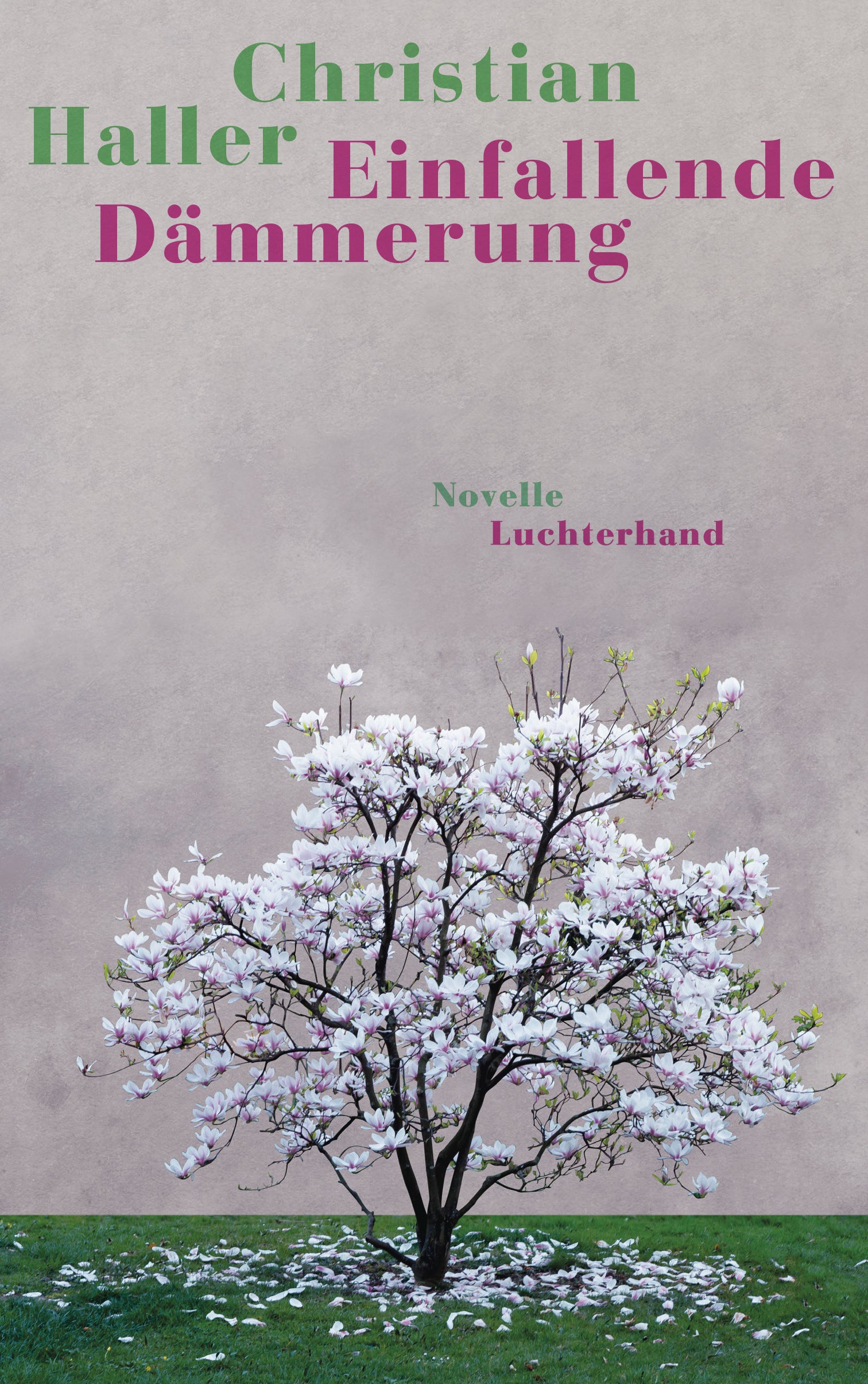 von Christian Haller: Einfallende Dämmerung