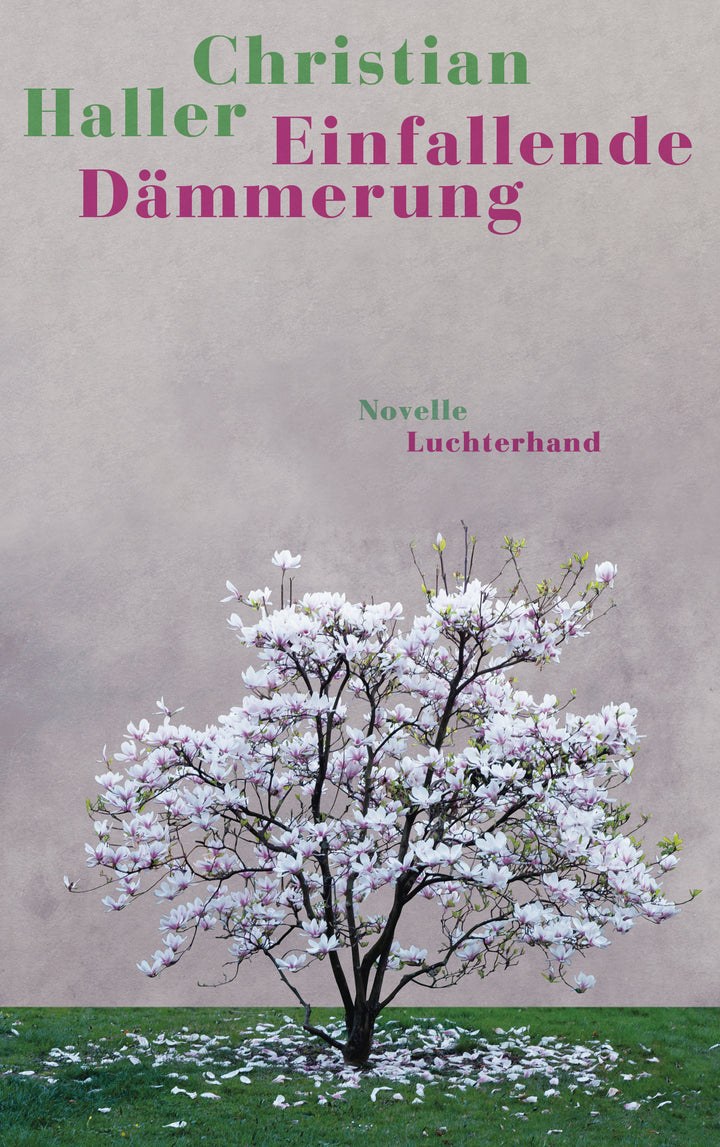 von Christian Haller: Einfallende Dämmerung