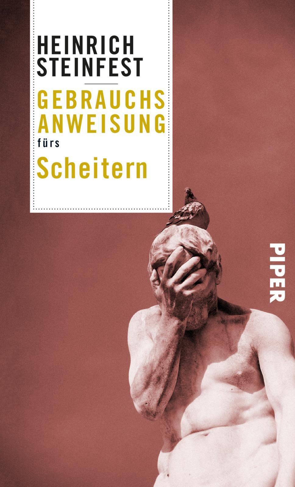 Steinfest, Heinrich: Gebrauchsanweisung fürs Scheitern 
