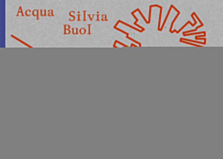 Silvia Buol - Acqua -Kunst - Kultur - Architektur   
