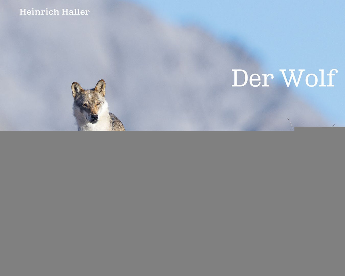 Haller, Heinrich: Der Wolf -Graubünden und seine Natur   