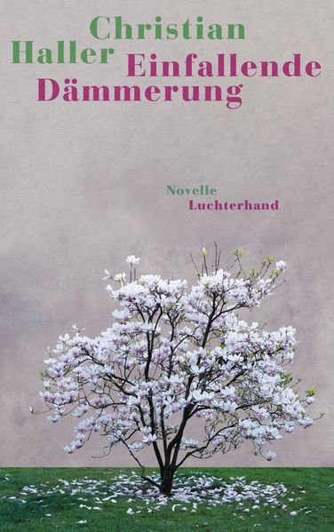 von Christian Haller: Einfallende Dämmerung - Schweizer Literatur  