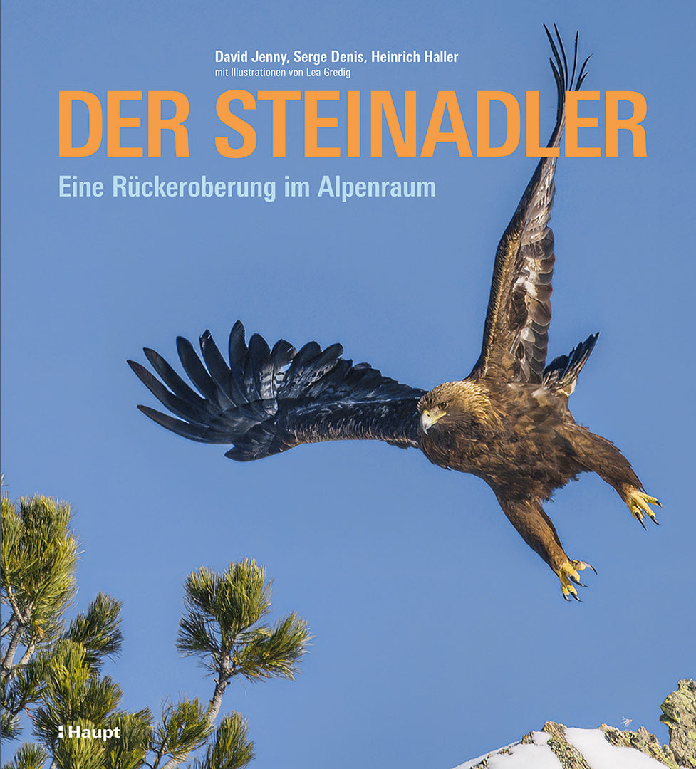 von David Jenny, Serge Denis, Heinrich Haller: Der Steinadler