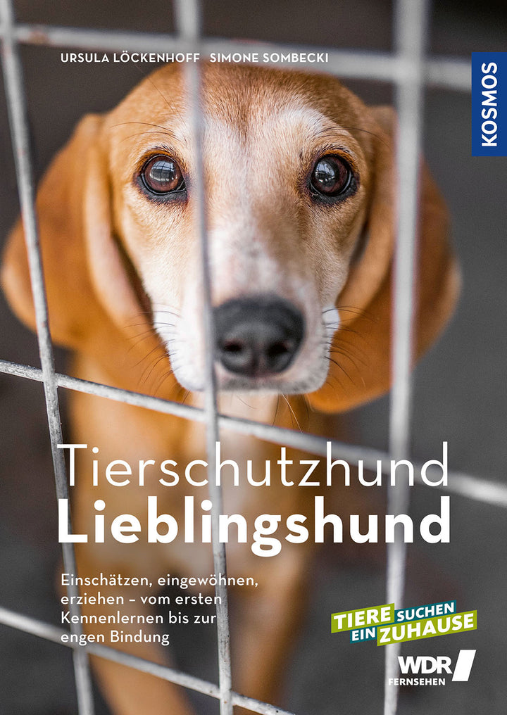 von Ursula Löckenhoff, Simone Sombecki: Tierschutzhund Lieblingshund -  Natur & Tiere 