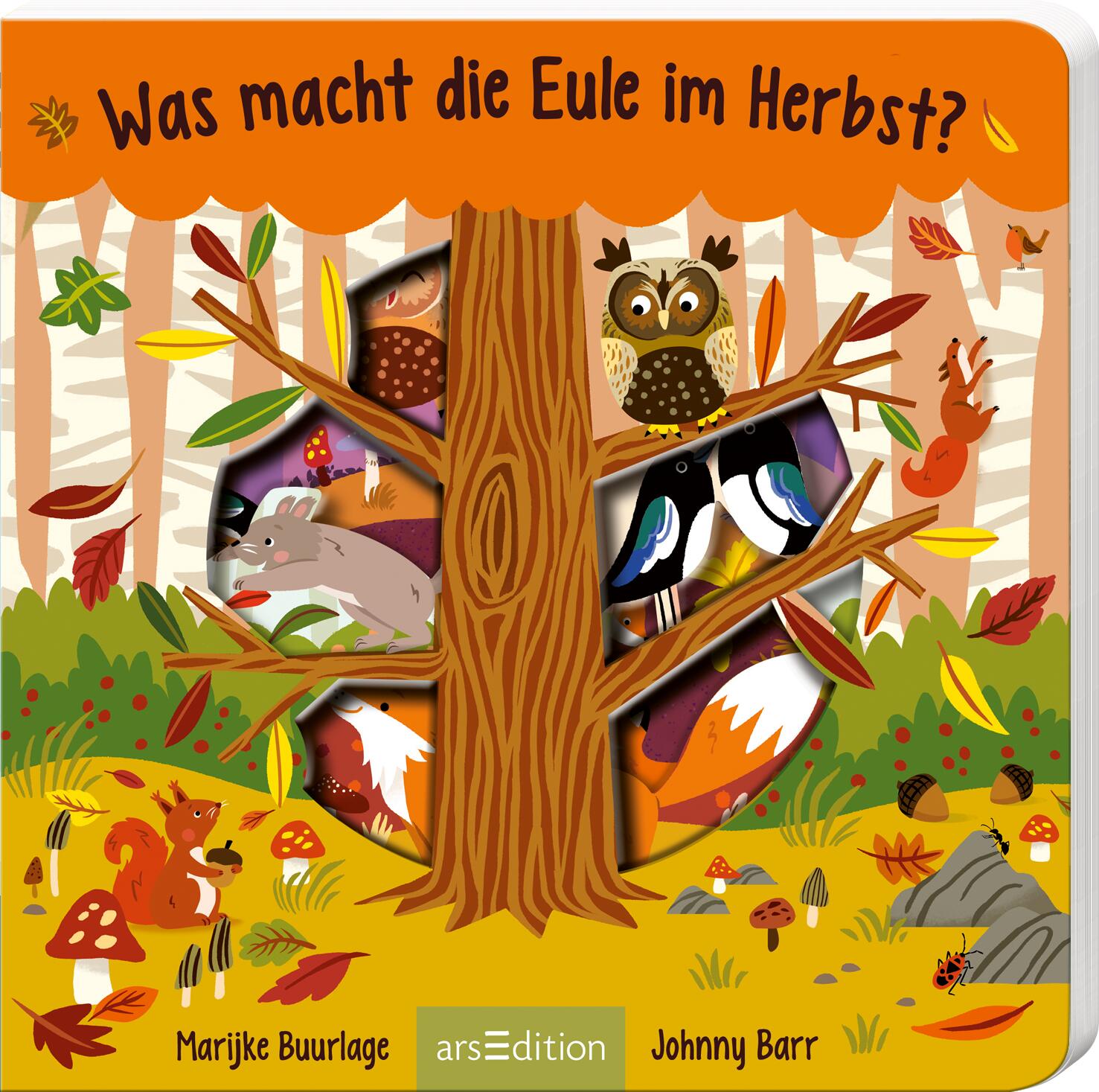 von Johnny Barr, illustriert von Marijke Buurlage: Was macht die Eule im Herbst?