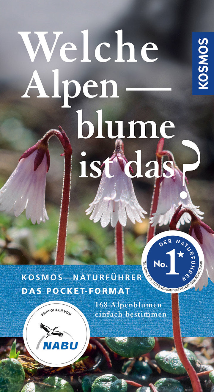 Werner, Manuel: Welche Alpenblume ist das?