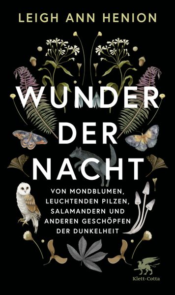 von Leigh Ann Henion, übersetzt von Jörn Pinnow: Wunder der Nacht -  Wissenschaft