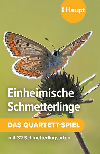 von Haupt Verlag, Fotos von Mareike Possienke: Einheimische Schmetterlinge – das Quartett-Spiel -
