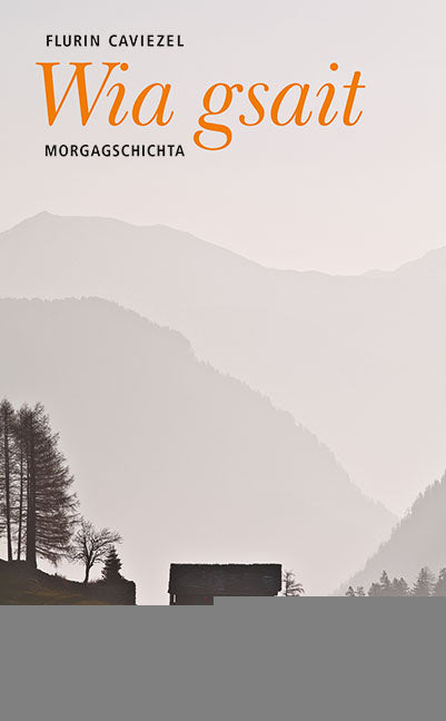 Caviezel, Flurin: Wia gsait - Morgagschichta -Bündner Romane - Geschichten aus dem Bergland   