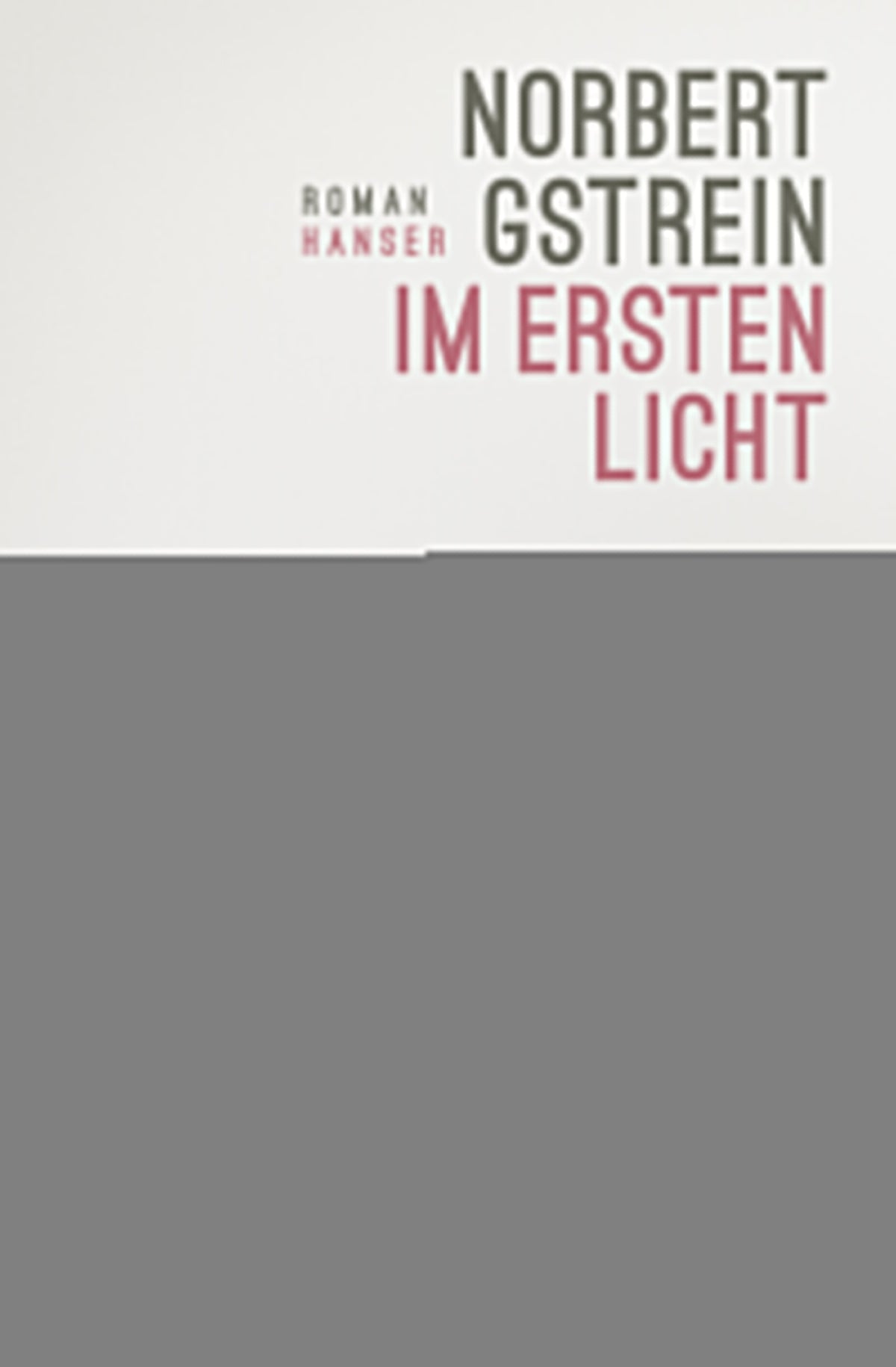 von Norbert Gstrein: Im ersten Licht - Belletristik  