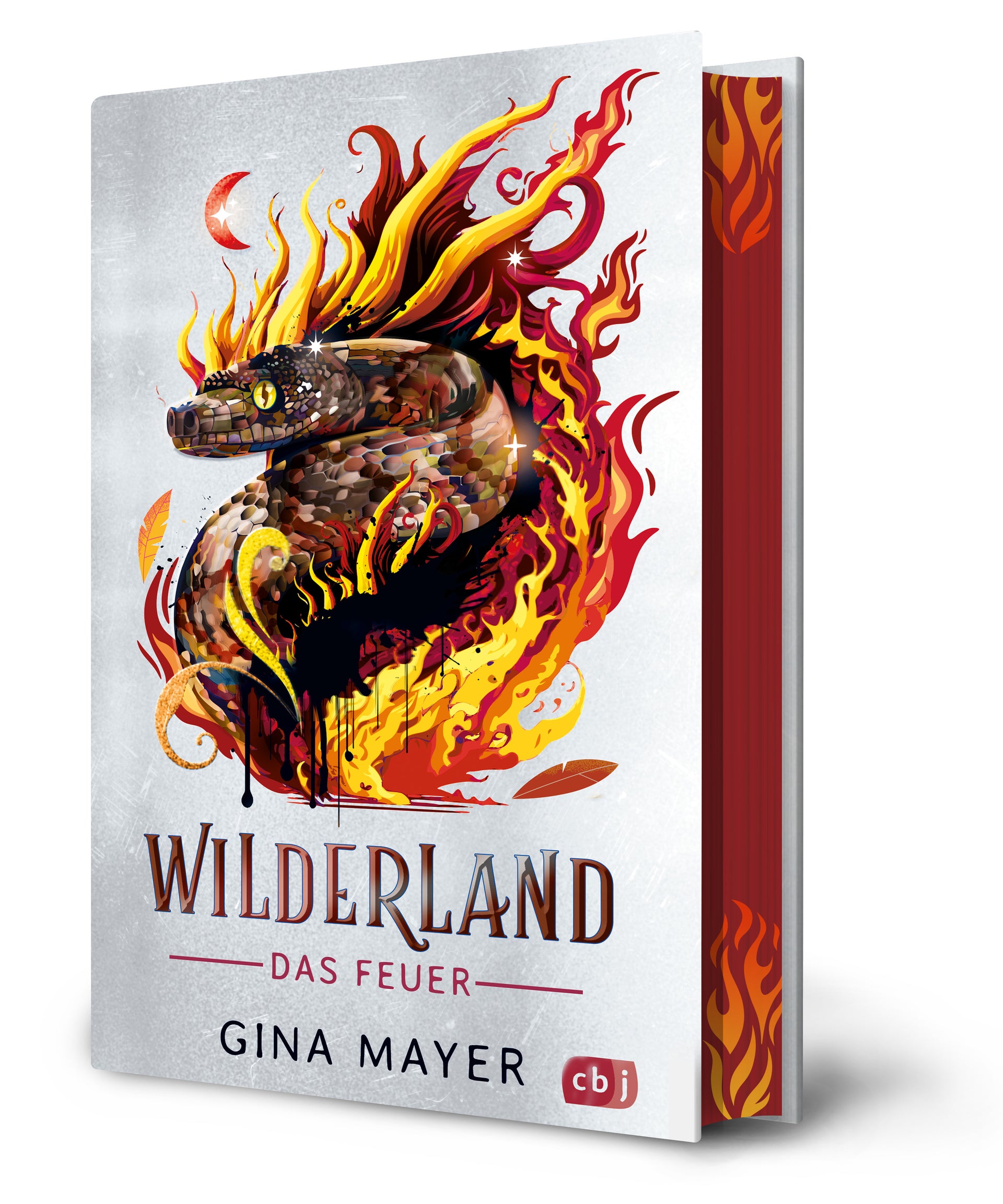 von Gina Mayer, illustriert von Carolin Liepins: Wilderland – Das Feuer