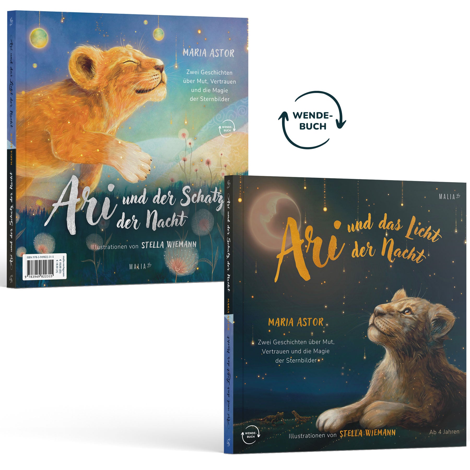 von Maria Astor: Ari und das Licht der Nacht