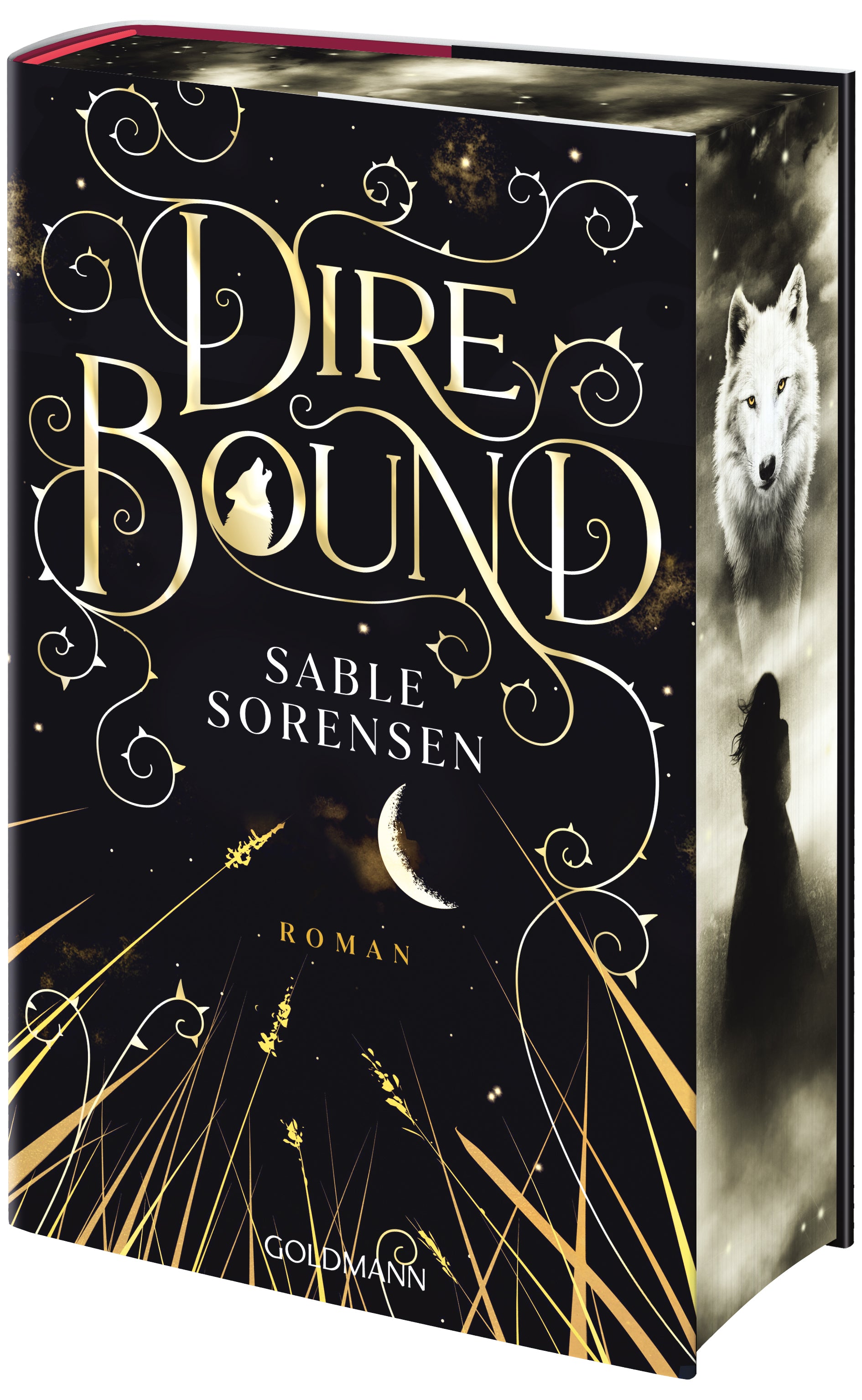 von Sable Sorensen, übersetzt von Julia Schwenk, Nadine Pauli: Dire Bound